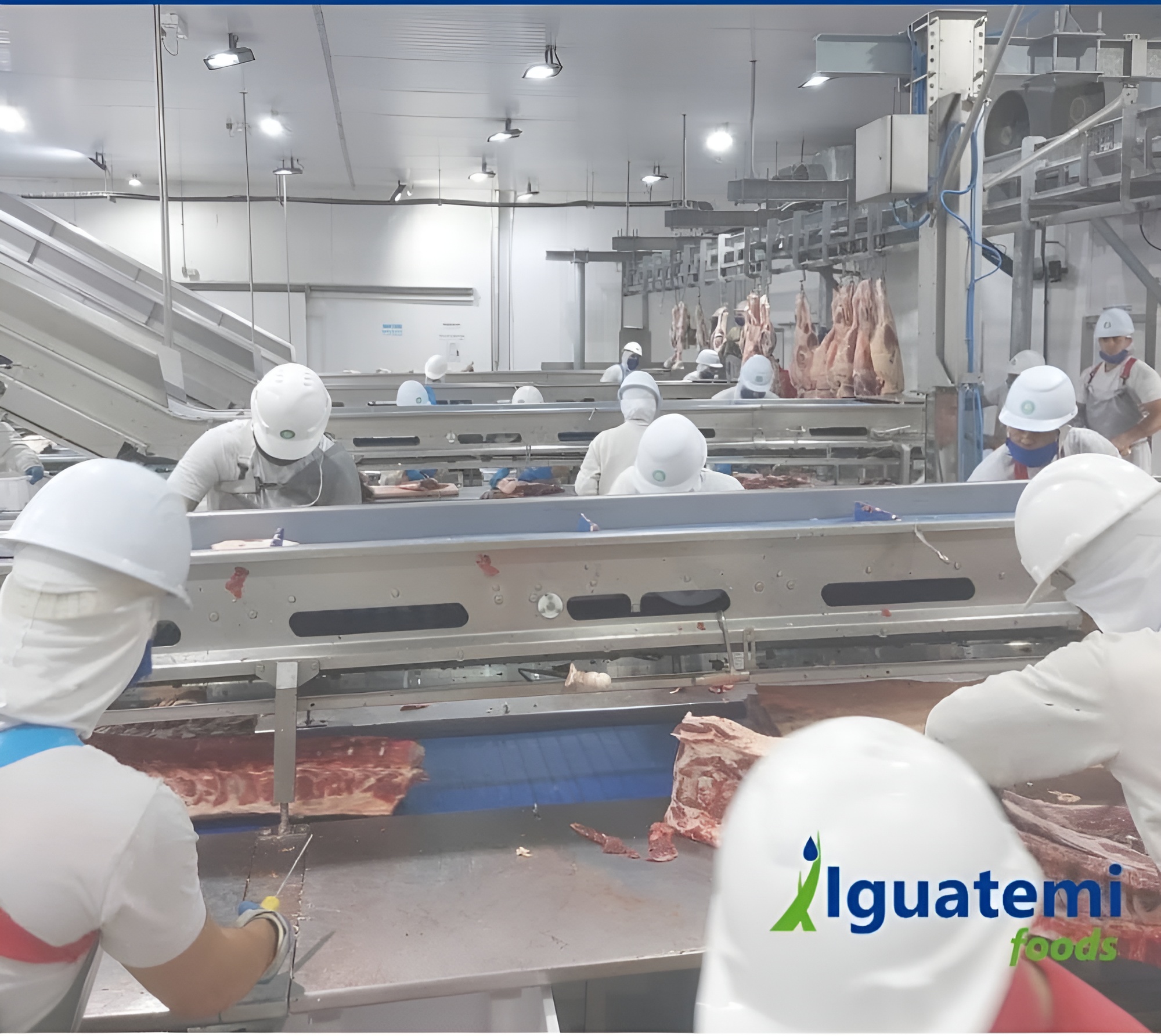 agroindustrialiguatemiltda.com